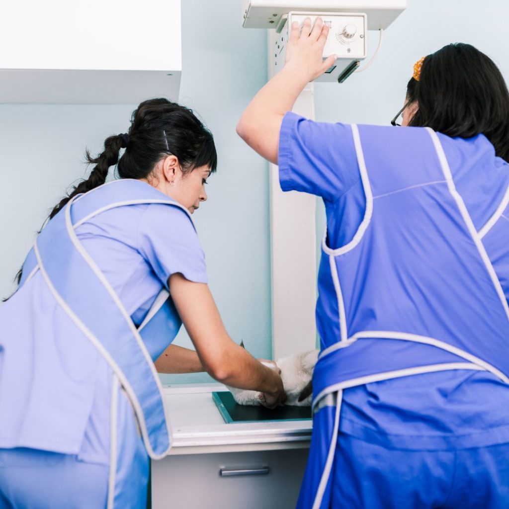 devenir associé en tant qu'asv