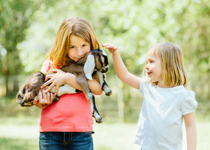 ouvrir une ferme pédagogique