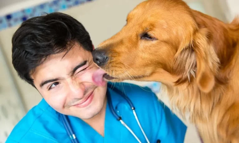 Professionnel de la santé animal avec un chien - les avantages de la méthode pédagogique de La Nurserie