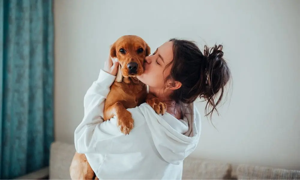 importance_de_l_asv_dans_le_deuil_du_proprietaire Propriétaire d'un chien