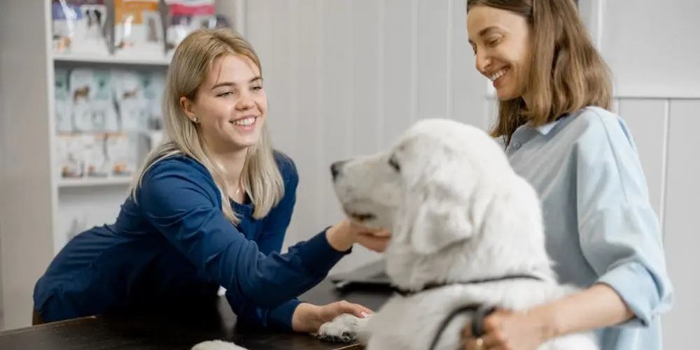 debuter-en-clinique-auxiliaire-veterinaire Guide pratique : Débuter en clinique comme auxiliaire vétérinaire