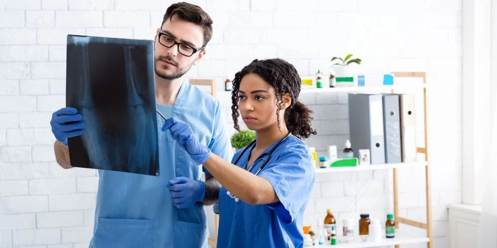 metier-auxiliaire-veterinaire-en-quoi-consiste-ce-role-essentiel Métier d'auxiliaire vétérinaire : Découvrez le rôle essentiel de l'ASV