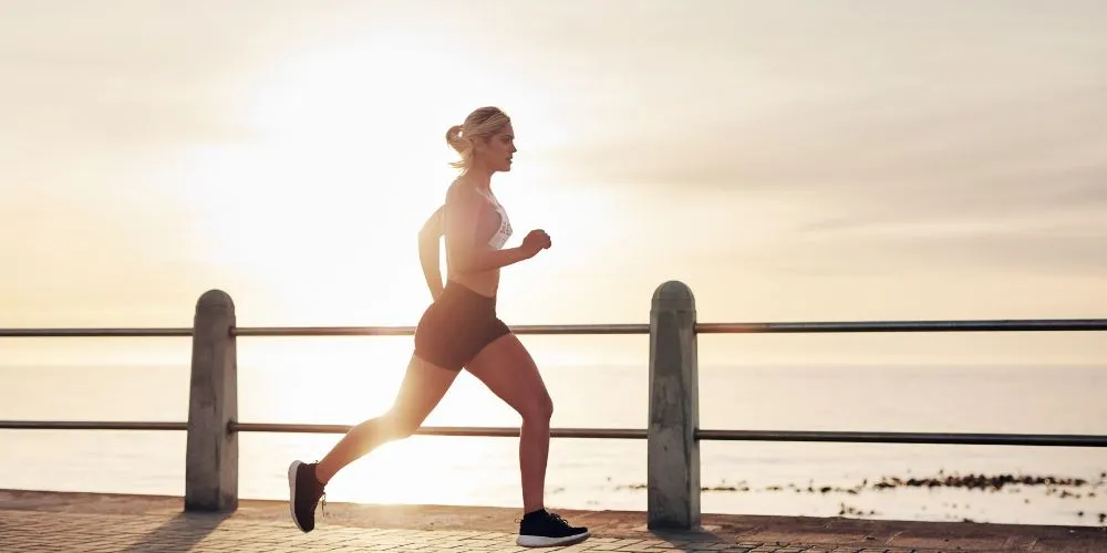 auxiliaires vétérinaires euthanasie : lâcher prise