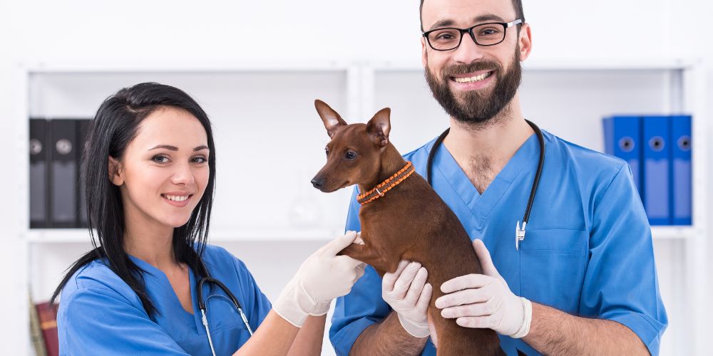 délégation des actes vétérinaires aux ASV