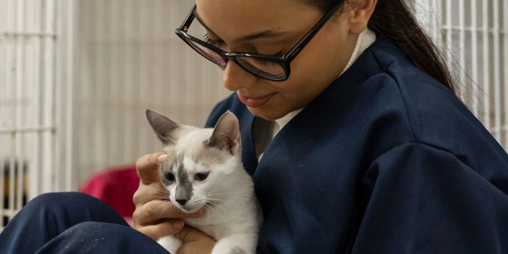 Travailler en refuge animalier : empathie et patience