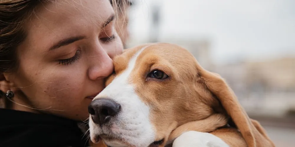 Adopter un animal : guide pratique et conseils