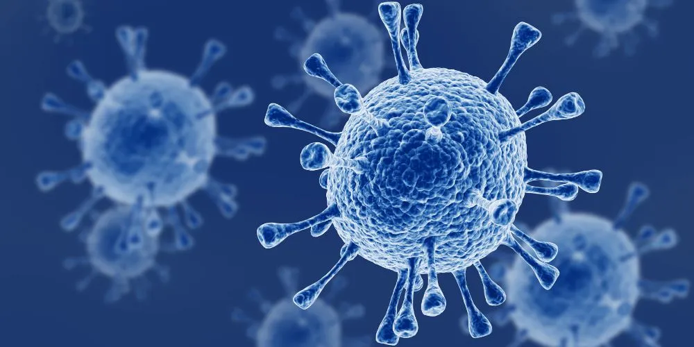 La prévention des zoonoses : quelles sont les priorités actuelles ?
