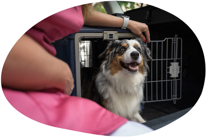 Formation ACACED 100% en ligne - module 2 : Transport