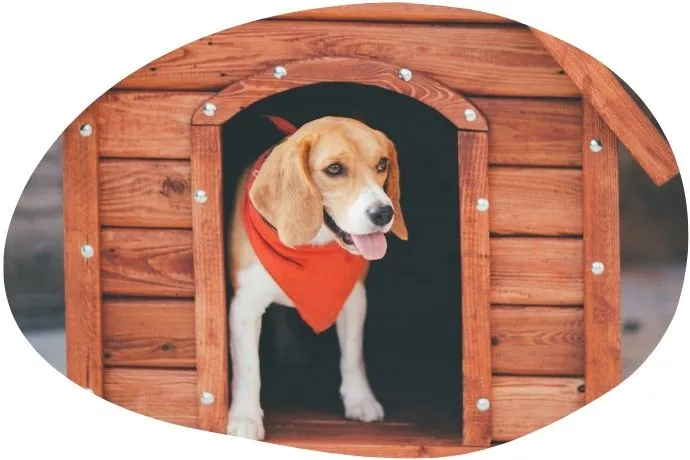 Formation ACACED 100% en ligne - module 7 : logement